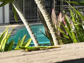 Your Slice of Paradise in Kona - Walk to Beach and Stores